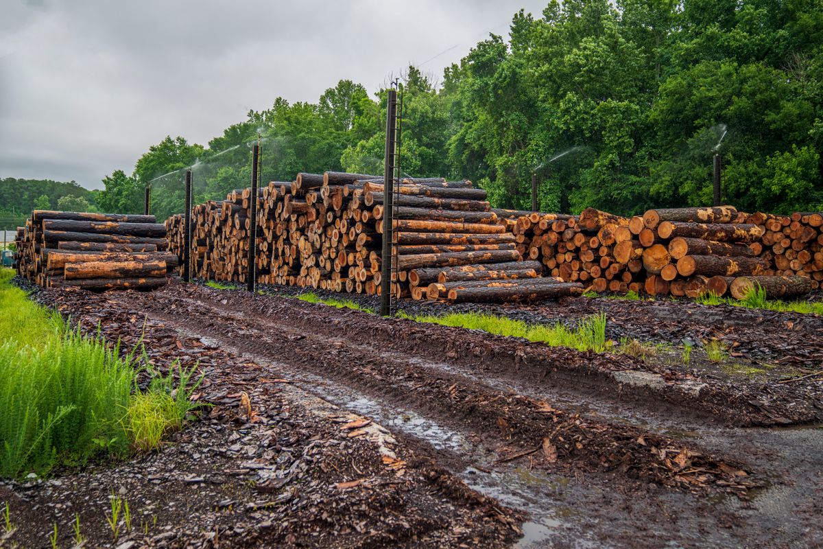 Stacked sawn tropical hardwood lumber boards, commercial grade ready for export
